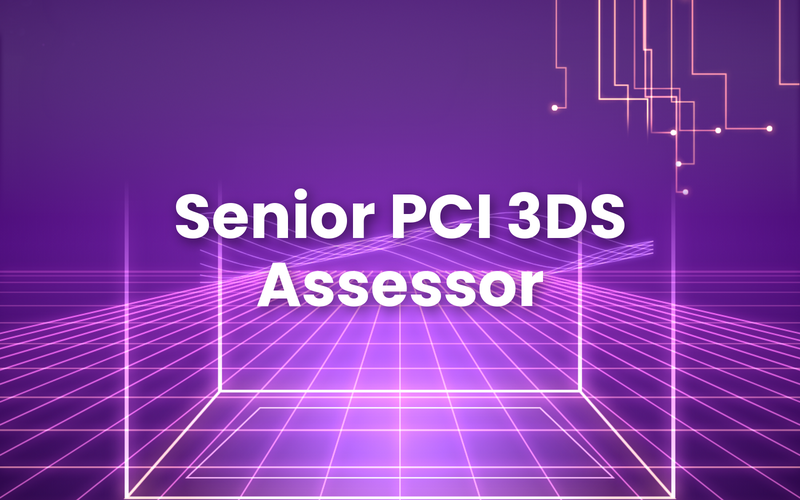  Senior PCI 3DS Assessor 
