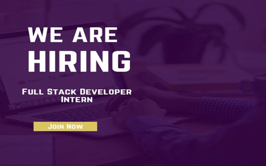 Full Stack Developer Intern (NET, Angular/React & PostgreSQL)